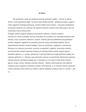 Psichologijos pažinimo procesų tyrimas. Paveikslėlis 2