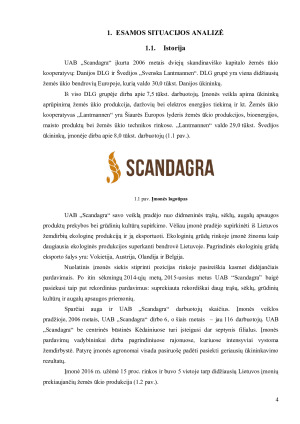 UAB „SCANDAGRA“ PREKYBOS ĮMONĖS ANALIZĖ. Paveikslėlis 4