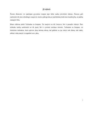 TUŠINUKO SU LEMPUTE ĮVEDIMO Į RINKĄ MARKETINGO SPRENDIMAI. Paveikslėlis 3