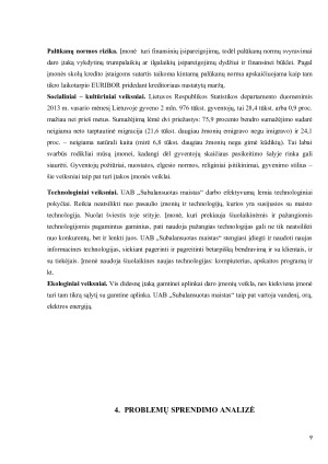 UAB ,,Subalansuotas maistas“  įmonės verslo galimybių vertinimas. Paveikslėlis 9