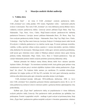 UAB „Žygio batai“ IMK planas. Paveikslėlis 3