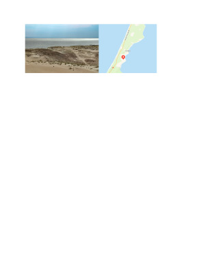Ibiza ir Parnidžio kopos, geografijos darbas. Paveikslėlis 3