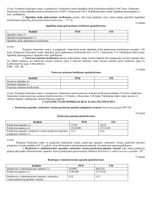 AB „Lietuvos dujos“ finansinės būklės analizė. Paveikslėlis 10