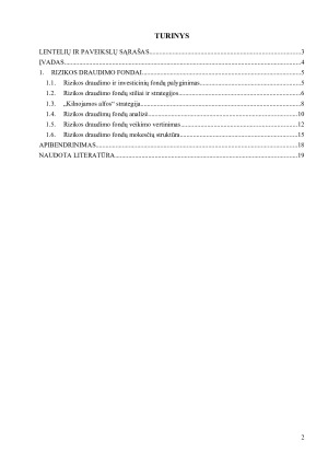 AKTYVUS VP PORTFELIO VALDYMAS – RIZIKOS DRAUDIMO FONDAI (2). Paveikslėlis 2
