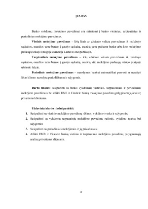 BANKO VYKDOMŲ MOKĖJIMO PAVEDIMŲ ANALIZĖ. Paveikslėlis 3