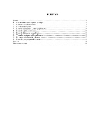 E-verslo dinamika ir perspektyvos Lietuvoje. Paveikslėlis 2