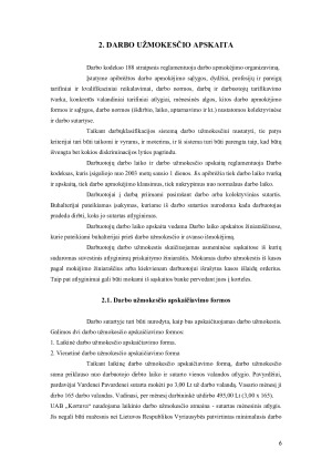 Darbo užmokesčio apskaitos analizė. Paveikslėlis 5