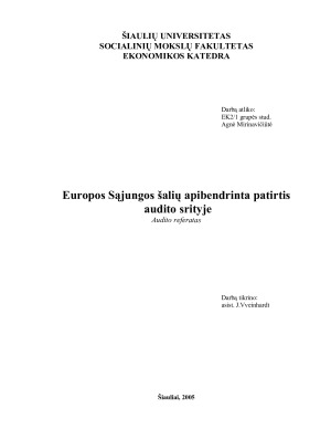 Europos Sąjungos šalių apibendrinta patirtis audito srityje