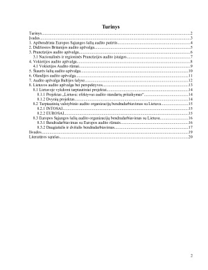 Europos Sąjungos šalių apibendrinta patirtis audito srityje. Paveikslėlis 2