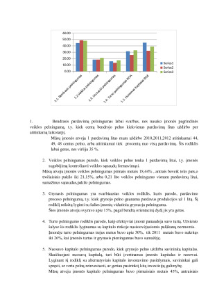 Finansinė įmonės analizė investiciniu požiūriu. Paveikslėlis 10