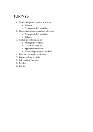 Finansinė įmonės analizė investiciniu požiūriu. Paveikslėlis 2