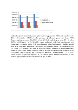 Finansinė įmonės analizė investiciniu požiūriu. Paveikslėlis 7