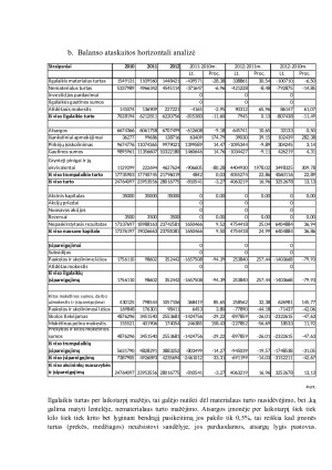Finansinė įmonės analizė investiciniu požiūriu. Paveikslėlis 8
