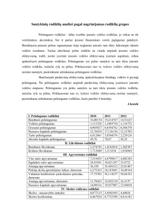 Finansinė įmonės analizė. Paveikslėlis 10