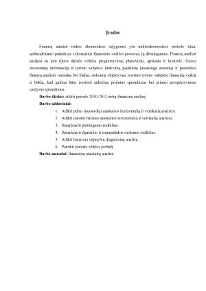 Finansinė įmonės analizė. Paveikslėlis 3