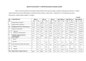 Finansinė įmonės analizė. Paveikslėlis 4