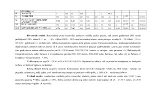 Finansinė įmonės analizė. Paveikslėlis 5