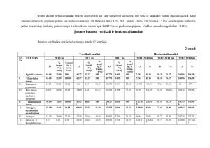 Finansinė įmonės analizė. Paveikslėlis 6