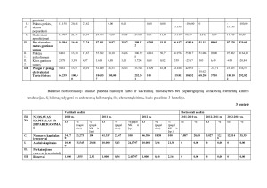 Finansinė įmonės analizė. Paveikslėlis 7
