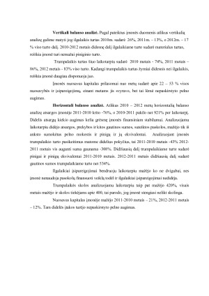 Finansinė įmonės analizė. Paveikslėlis 9