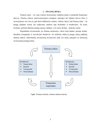Finansinių priemonių platinimo ir rizikos valdymo analizė. Paveikslėlis 3