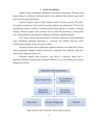 Finansinių priemonių platinimo ir rizikos valdymo analizė. Paveikslėlis 6