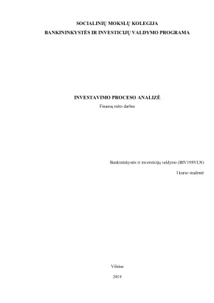 INVESTAVIMO PROCESO ANALIZĖ