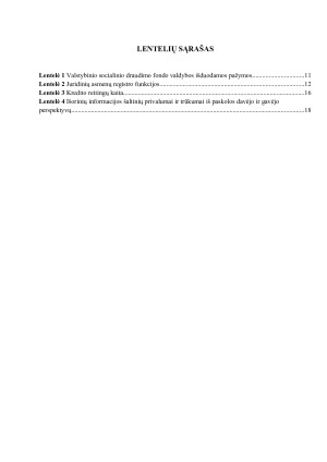 IŠORINIAI INFORMACIJOS ŠALTINIAI. Paveikslėlis 4