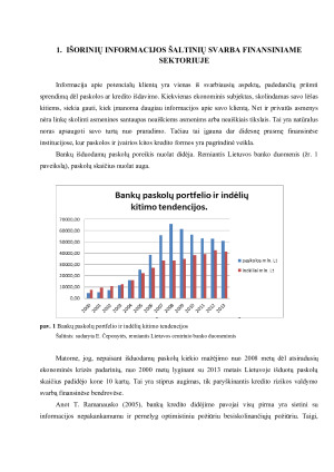 IŠORINIAI INFORMACIJOS ŠALTINIAI. Paveikslėlis 7