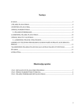 KASDIENIŲ IŠLAIDŲ PLANAVIMAS. Paveikslėlis 2