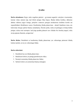 KASDIENIŲ IŠLAIDŲ PLANAVIMAS. Paveikslėlis 3