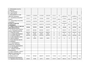 Kauno oro uosto finansinė analizė. Paveikslėlis 10