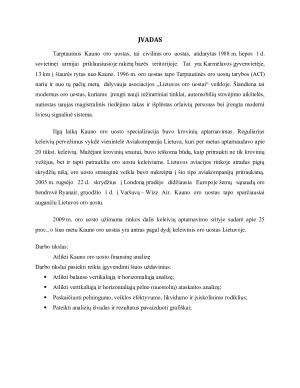 Kauno oro uosto finansinė analizė. Paveikslėlis 2