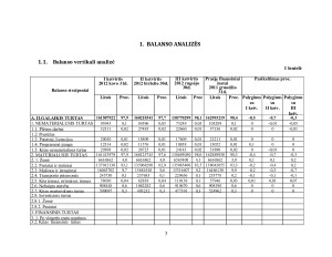 Kauno oro uosto finansinė analizė. Paveikslėlis 3