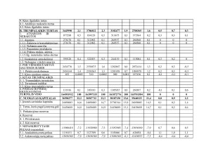 Kauno oro uosto finansinė analizė. Paveikslėlis 4