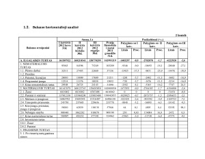 Kauno oro uosto finansinė analizė. Paveikslėlis 8