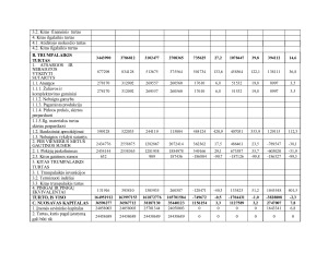 Kauno oro uosto finansinė analizė. Paveikslėlis 9