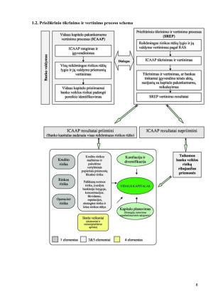 KONCENTRACIJOS RIZIKOS IR ŠALIES RIZIKOS VALDYMAS. Paveikslėlis 8