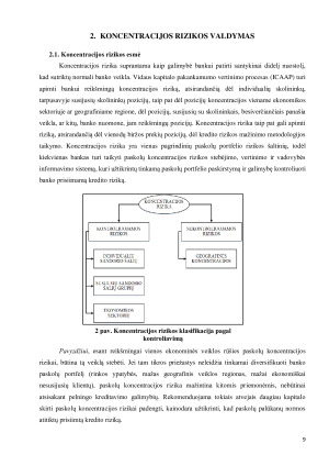 KONCENTRACIJOS RIZIKOS IR ŠALIES RIZIKOS VALDYMAS. Paveikslėlis 9