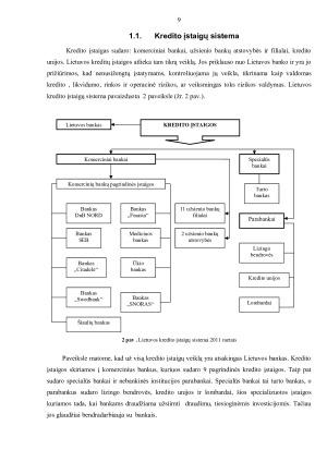 LIETUVOS KREDITO ĮSTAIGOS IR JŲ VEIKLA. Paveikslėlis 9