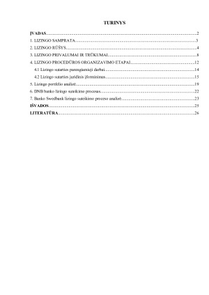 LIZINGO SUTEIKIMO PROCESAS. Paveikslėlis 2