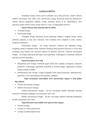 LIZINGO SUTEIKIMO PROCESAS. Paveikslėlis 5