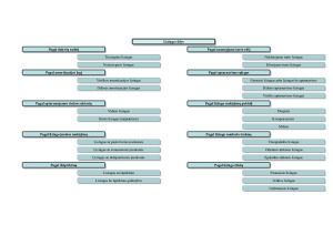 LIZINGO SUTEIKIMO PROCESAS. Paveikslėlis 6