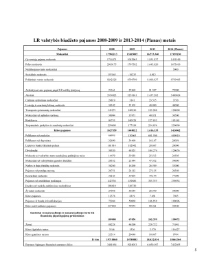 LR VALSTYBĖS BIUDŽETO ANALIZĖ. Paveikslėlis 5