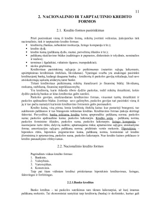 NACIONALINIS IR TARPTAUTINIS KREDITAS. Paveikslėlis 10