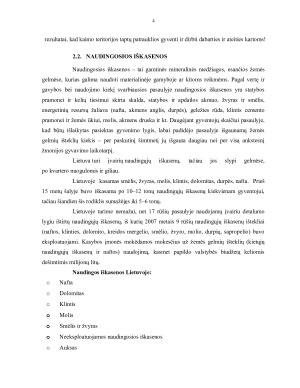 Nacionalinis turtas ir jo sudėtinės dalys. Paveikslėlis 4