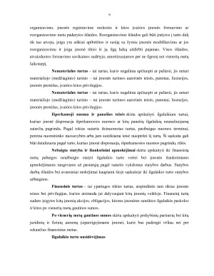 Nacionalinis turtas ir jo sudėtinės dalys. Paveikslėlis 9