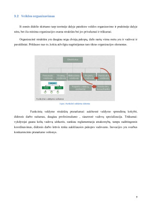 Produkto (prekės – paslaugos) darymo valdymo praktika organizacijoje. Paveikslėlis 9