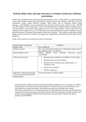 Paskolų teikėjų rinkos apžvalga, alternatyvų vertinimas, konkretaus skolintojo pasirinkimas