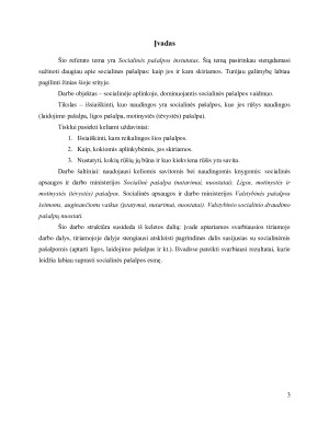 Socialinės pašalpos institutas. Paveikslėlis 3